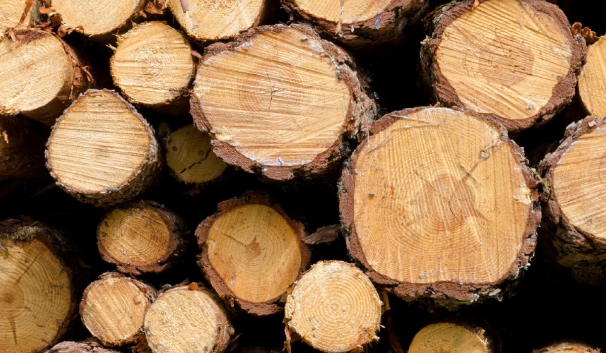 Logs