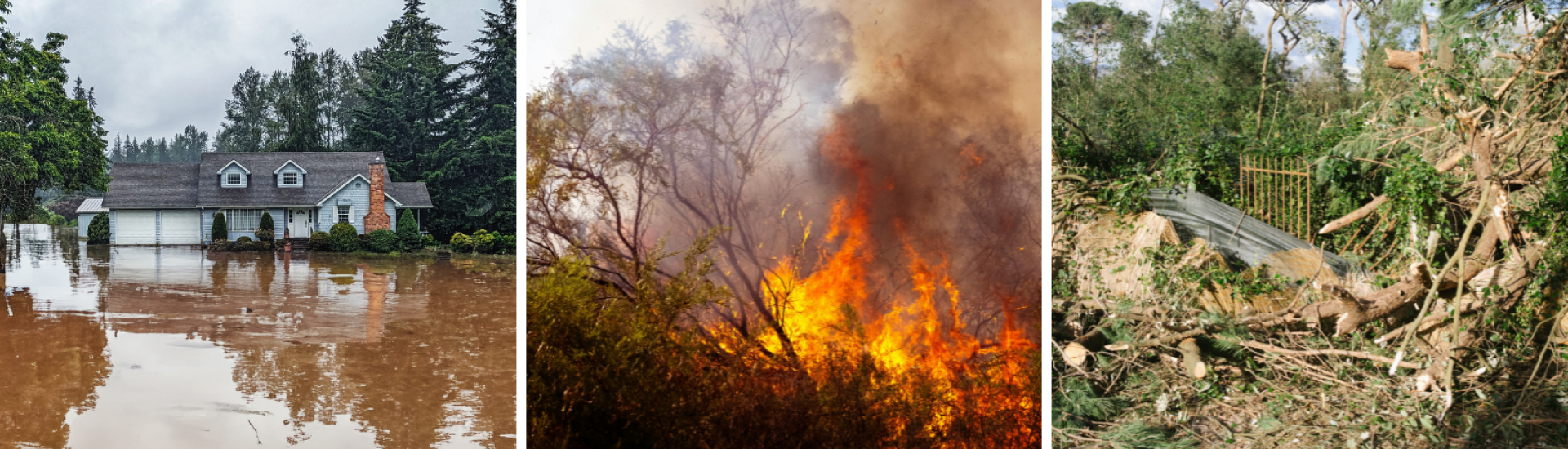 house flooded, forest fire, tornado damage