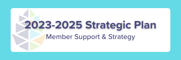 member support and strategy