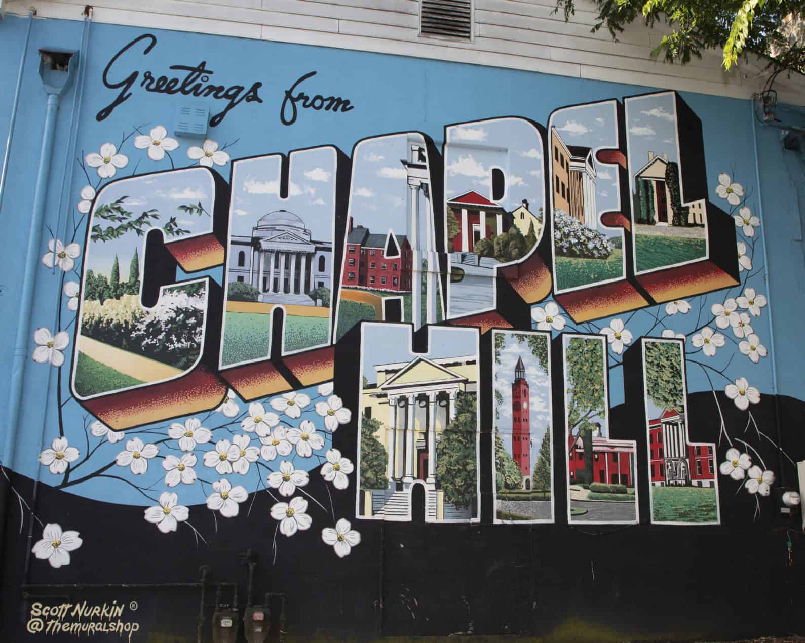 A blue mural reads “Greetings from Chapel Hill,” with local buildings illustrated inside large letters surrounded by dogwood blossoms.