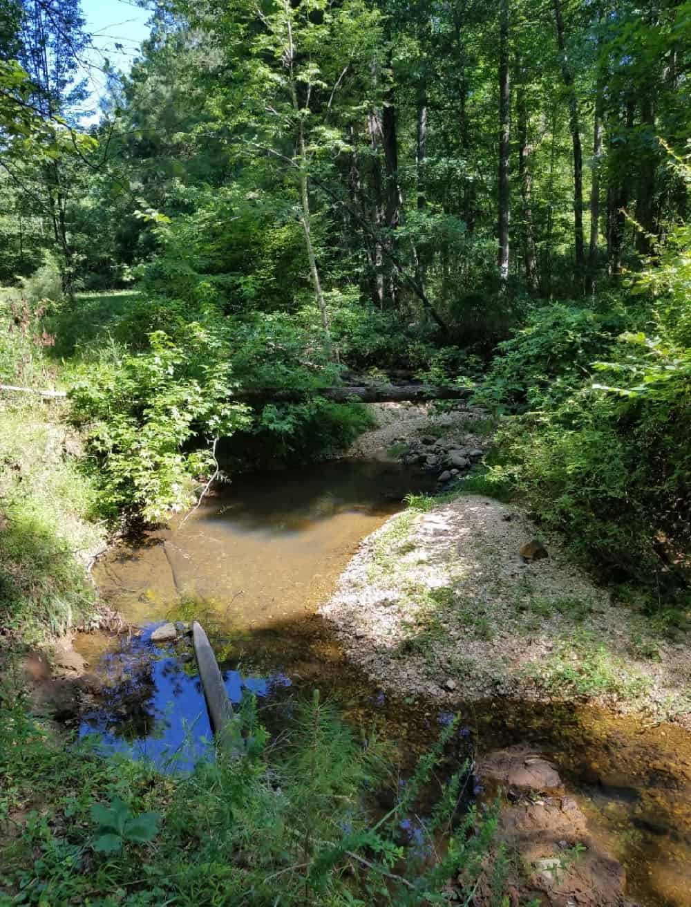 Shallow creek winds through dense green woodland, past sandy and rocky banks.